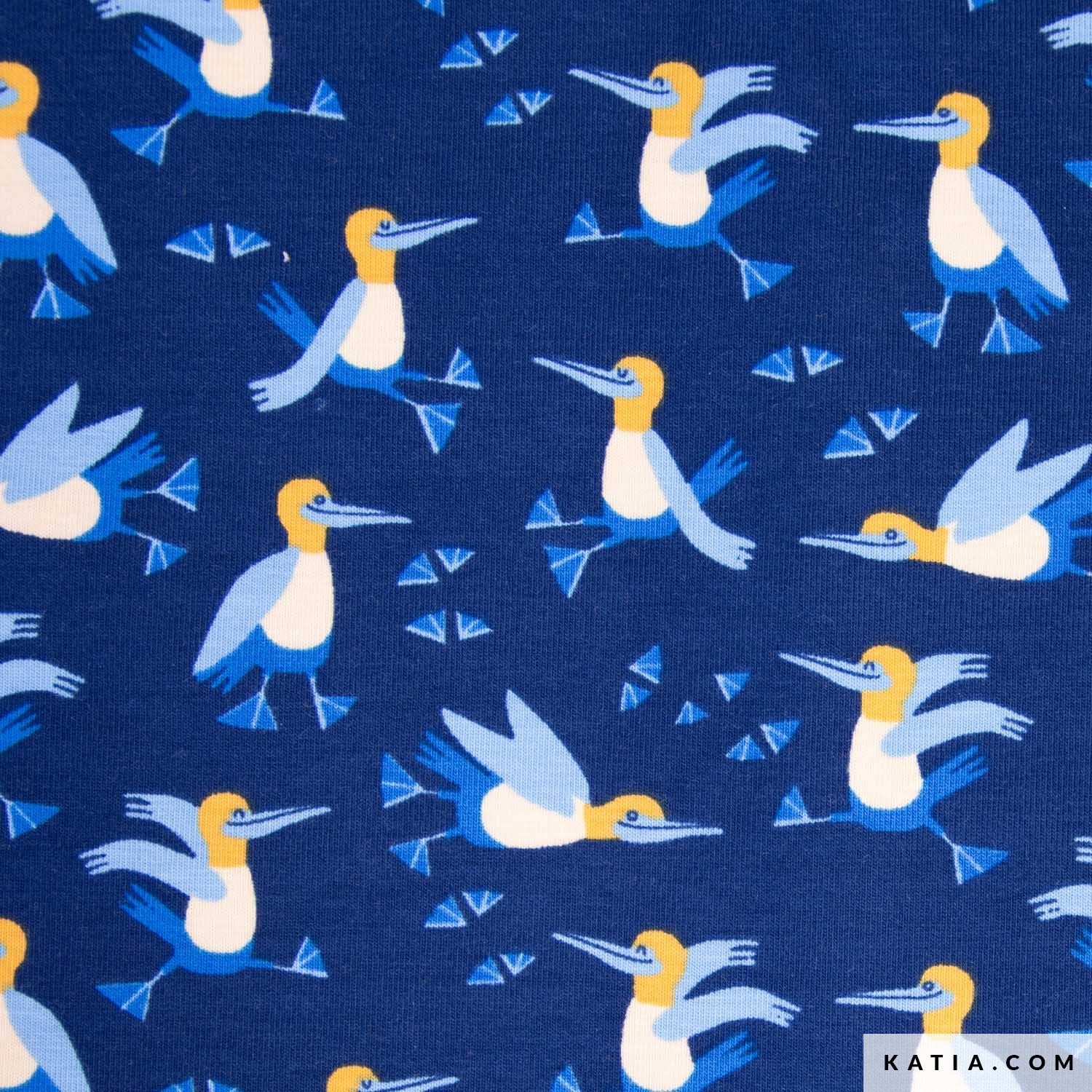 PUNTO BLUE LEGGED BIRD